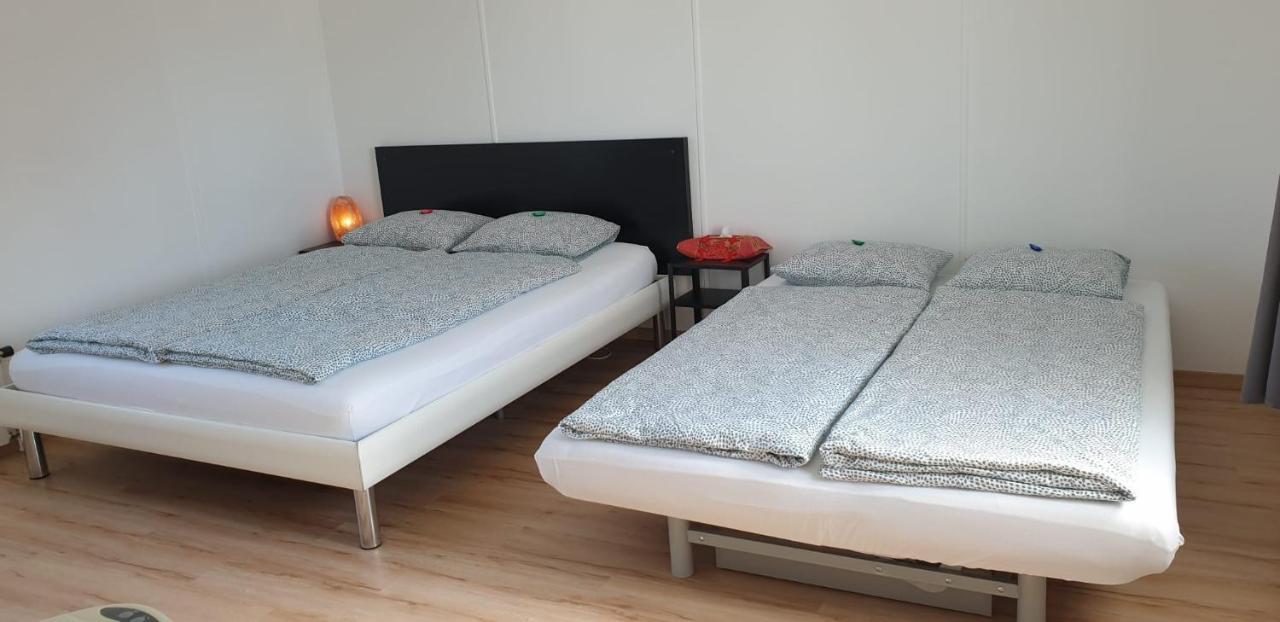 Lake Getaway Apartment With Private Entrance, Right On The Lake Constance Cycle Path, Barbecue Area, Free Wifi, Netflix And Free Bikes Salmsach Ngoại thất bức ảnh